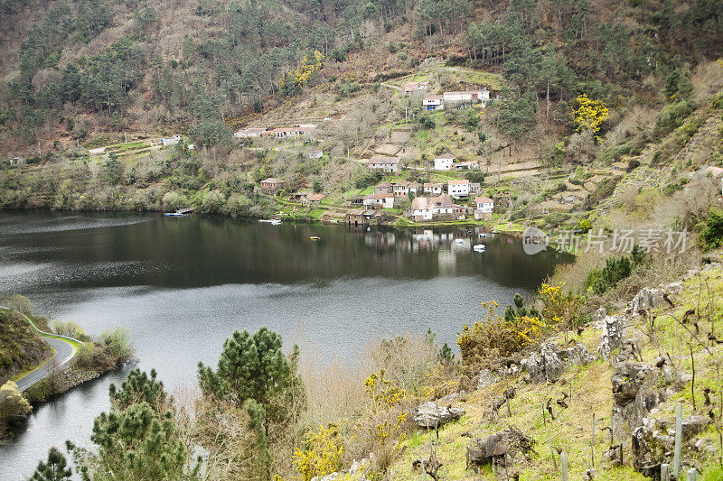 Ribeira Sacra景观，梯田葡萄园和河边的森林Miño，加利西亚，西班牙。